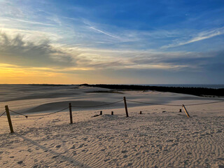 lonely landscape at the wandering dune Wydma Łącka at the Baltic Sea in Poland - obrazy, fototapety, plakaty
