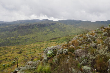 Fototapeta na wymiar Scenic mountain landscapes against sky at Aberdare National Park, Kenya