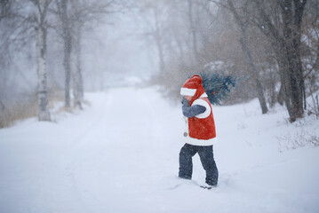 A child in a New Year's costume, in a snowfall carries a Christmas tree to Santa Claus. a New Year's tale.