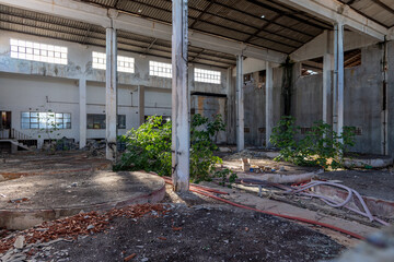 Interior view of a abandoned derelict factory building with plants growing inside.