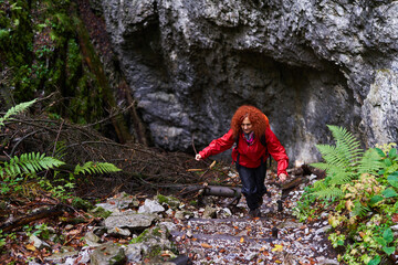 Nature photographer hiking in the pine forest on the mountain