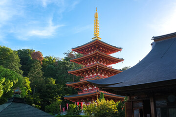 東京都日野市 高幡不動尊 五重塔