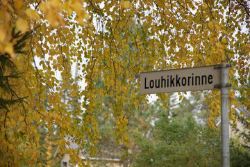 フィンランドの秋の景色紅葉