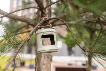 homemade feeder a house made of wood for insects and bees on a tree in the forest. Children take care of nature.