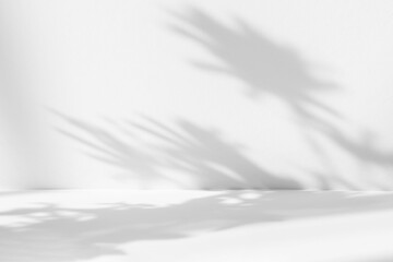 Blurred background. Abstract white studio background for product presentation. Empty room with shadows of window and flowers and palm leaves . 3d room with copy space. Summer concert.