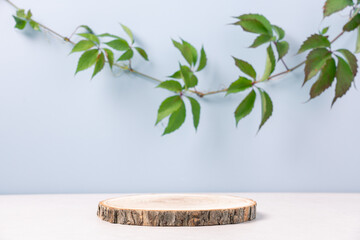 Wooden podium with green branch on blue background. Concept scene stage showcase, product,...