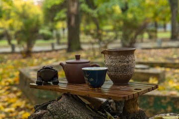 tea ceremony in nature, making Chinese tea on the tea table
