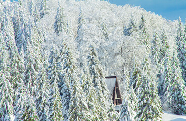 Isolated a-frame mountain house (shelter) surrounded with trees covered with snow in winter
