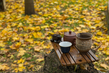 Tea set for traditional Chinese tea ceremony, outdoors