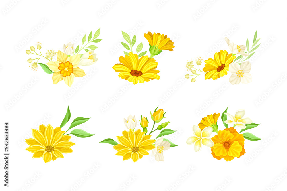 Canvas Prints Set of beautiful delicate yellow flowers set vector illustration