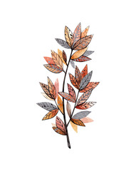 autumn tree leaf on a transparent background. watercolor illustration.