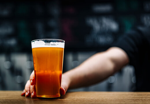bartender's hand hold full glass of craft beer in a bar or taproom