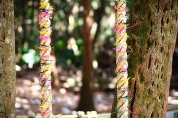 青島神社の産霊紙縒（むすびこより）