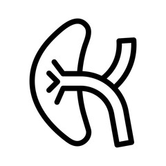 kidney line icon illustration vector graphic