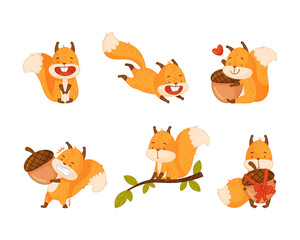 Cute red squirrel in different everyday activities set. Funny little forest animal carrying acorn, jumping, sitting on tree branch cartoon vector illustration © Happypictures
