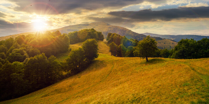 green pasture on the hillside at sunset. forested mountains in the distance in evening light. beautiful countryside landscape of transcarpathia in summer