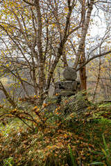 Mountain, autumn, Cerdanya