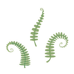 Magic mushroom forest decorative in natural colors. Сhanterelle, agaric, death cap. Autumn forest. Hand drawn vector illustration