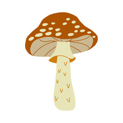 Magic mushroom forest decorative in natural colors. Сhanterelle, agaric, death cap. Autumn forest. Hand drawn vector illustration