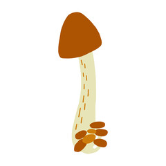 Magic mushroom forest decorative in natural colors. Сhanterelle, agaric, death cap. Autumn forest. Hand drawn vector illustration
