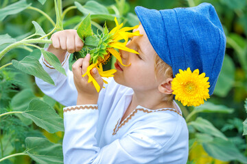 A boy on a sunflower mole, A child playing with sunflowers and eating sunflower seeds