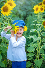 A boy on a sunflower mole, A child playing with sunflowers and eating sunflower seeds