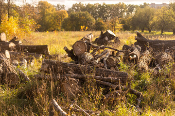 Firewood cut by wood chopping