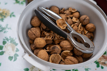 Junge Katze beim Dösen