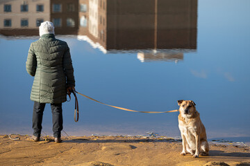 Novomoskovsk, Russia - October 25, 2022: dog sitting on the beach next to a man