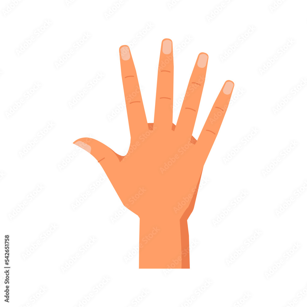 Poster Raised fingers showing number five, isolated hand gesture enumeration or counting with help of arm. Nonverbal communication signs. Vector in flat style