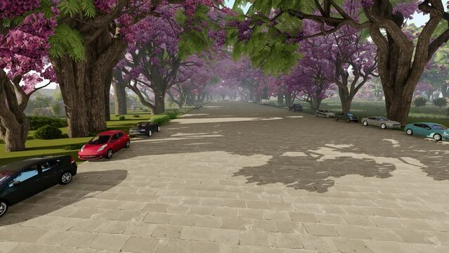 Neighborhood with pink jacaranda tree, camera rising, 4K