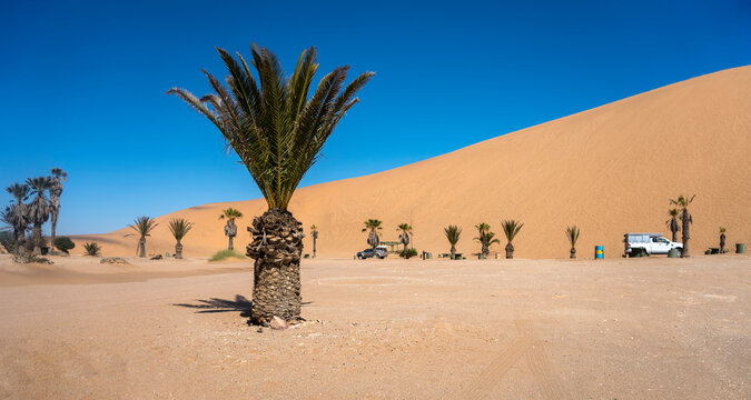 Namibian dunes