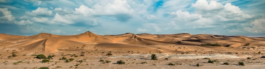 Fototapeta na wymiar vista dunes