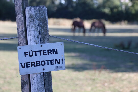 Schild, F&uuml;ttern verboten 