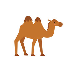 Cartoon camel. Vector cute camel. African animal. Cartoon character.	