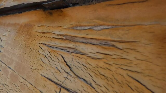 B-roll de una corteza de madera en una pared en plano detalle