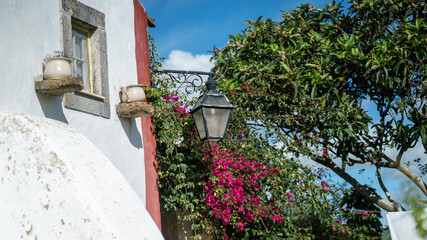 parte exterior de casa antiga e bem estimada com candeeiro exterior vintage e arbustos em volta,...