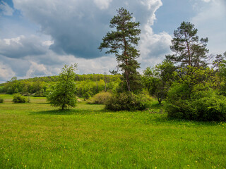 Fototapeta na wymiar NSG Urwiese bei Unfinden, Stadt Königsberg, Naturpark Haßberge, Landkreis Haßberge, Unterfranken, Franken, Bayern, Deutschland