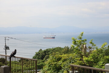 函館の山の上から海を見下ろす。