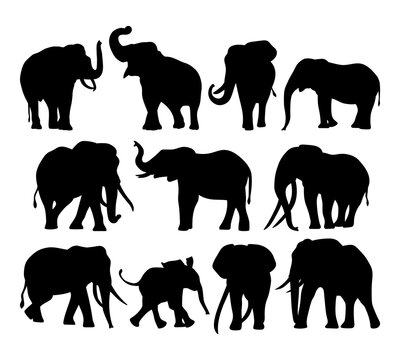 Elephant set of illustrations, templates for cutting, printing design, decals