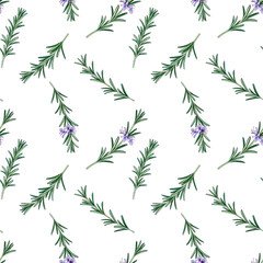 Naklejka premium drawing seamless pattern with rosemary with flowers and green leaves, Salvia rosmarinus, medicinal plants, aromatic herbs, hand drawn illustration