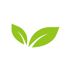 green leaf icon
