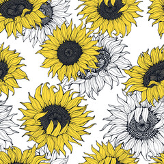 Sunflowers seamless vector pattern. - 542667910