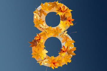 Obraz premium Number 8 of colorful autumn leaves. Cardinal number seven mades of fall foliage. Autumnal design font concept. Seasonal decorative beautiful type mades from multi-colored leaves