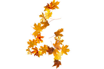 Number four made with autumn leaves isolated on white