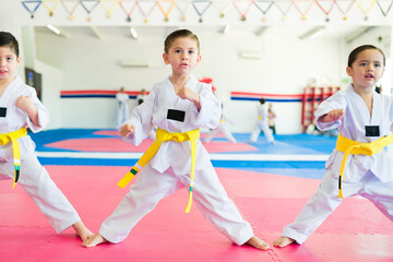 Toddlers with yellow belts learning karate © AntonioDiaz