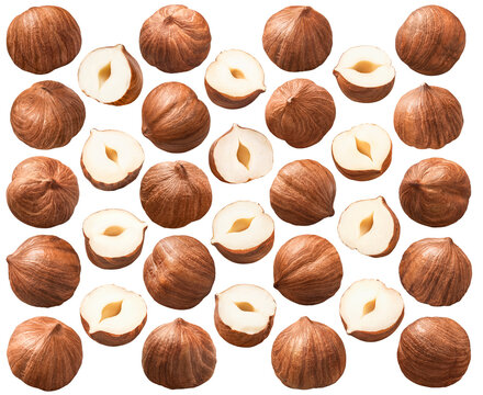 Shelled hazelnut kernels set 4 isolated on white background. Nuts whole and half.