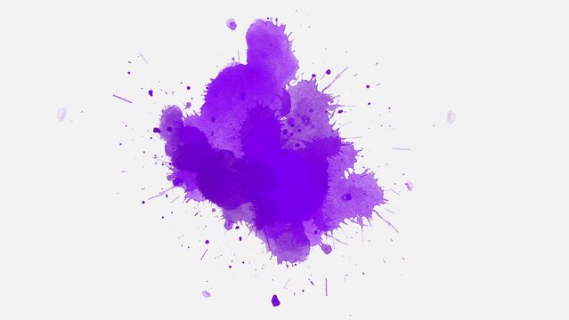 ink splatter compositing. Abstract purple color ink splatter slow motion reveal transition. ink brush stroke, fluid art background, overlay, alpha matte composition.
