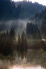 Sunlight through the trees and fog over a pond at Corvara in Badia, Italy
