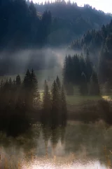 Foto auf Acrylglas Wald im Nebel Sunlight through the trees and fog over a pond at Corvara in Badia, Italy